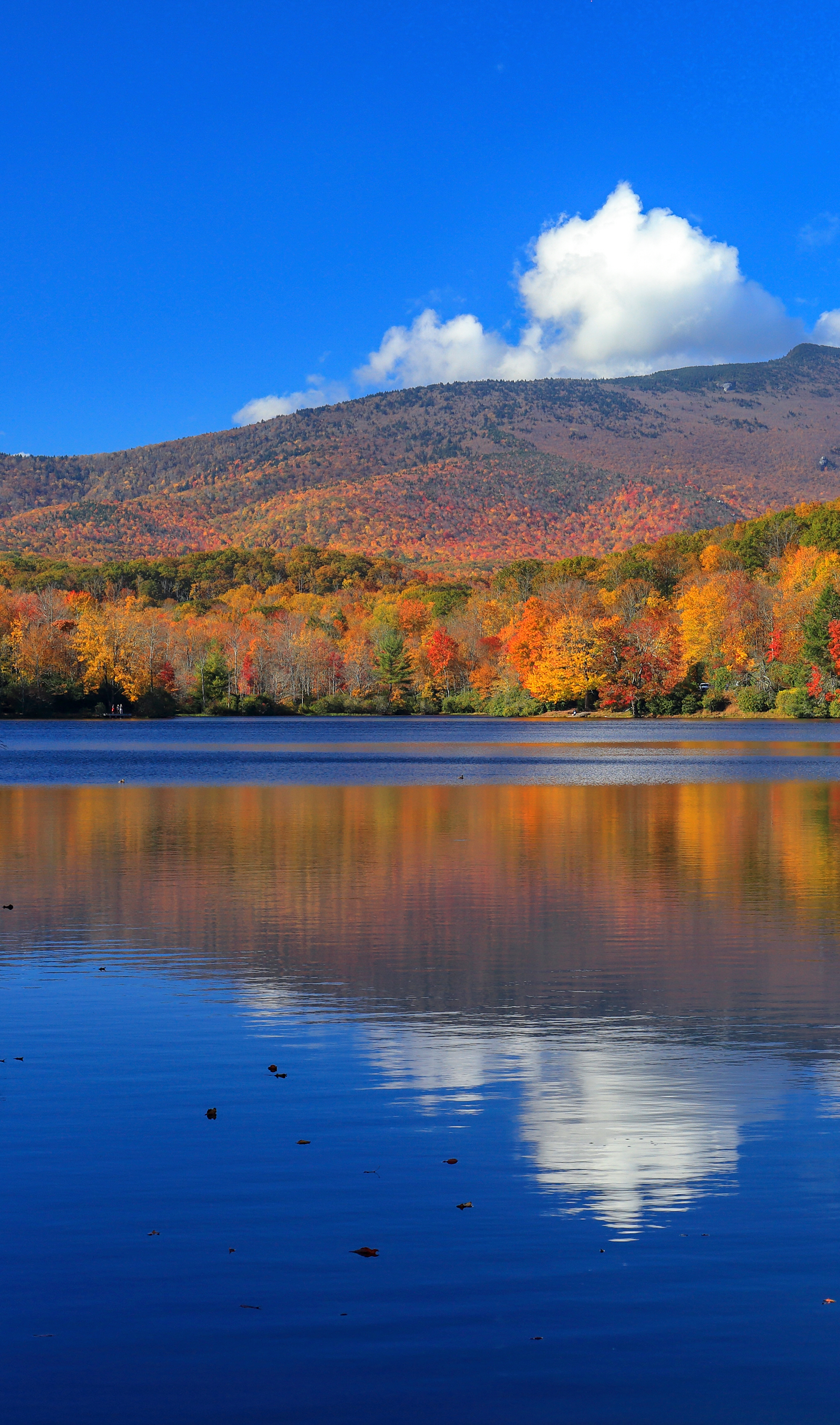 body of water in front of mountain backdrop