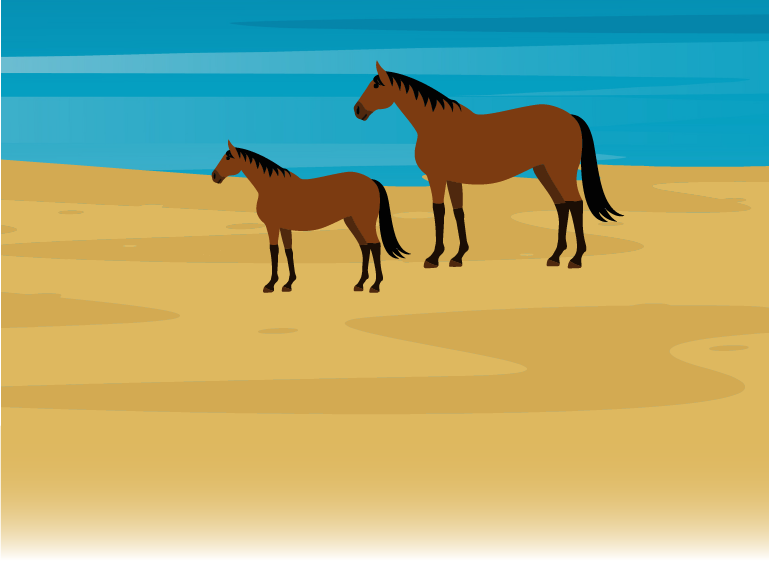 Horses walking along a beach